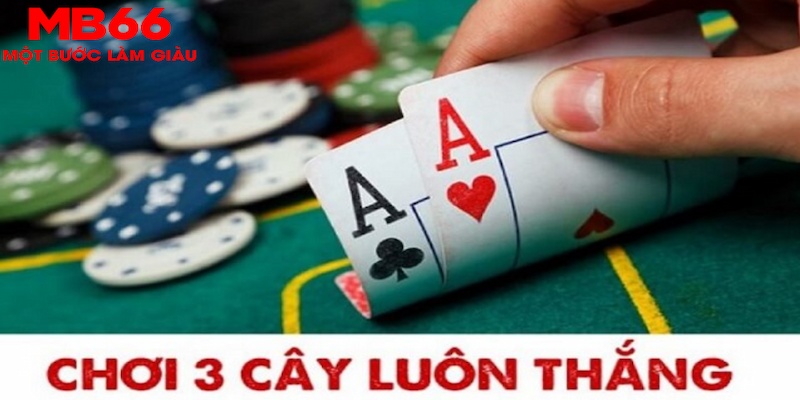 789win111 SA Trực Tuyến