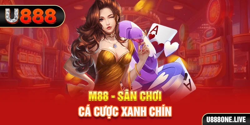 789win111 gà chọi cậu thanh