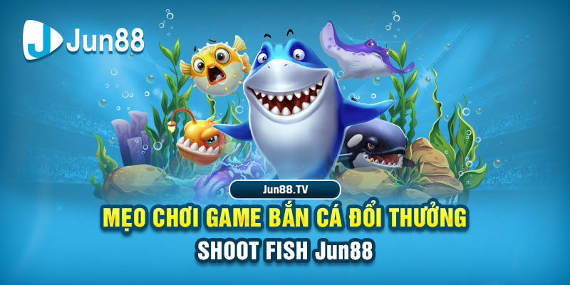 789win111 tai game danh bai bigkool ve may tinh