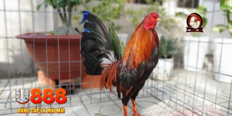 789win111 game máy bay nổ hũ