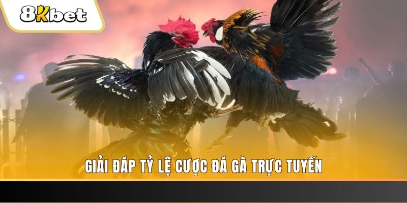 789win111 xổ số ba đài