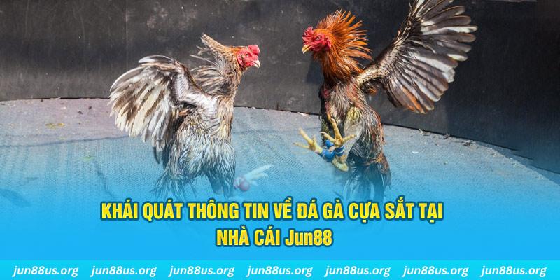 789win111 game bài trên máy tính