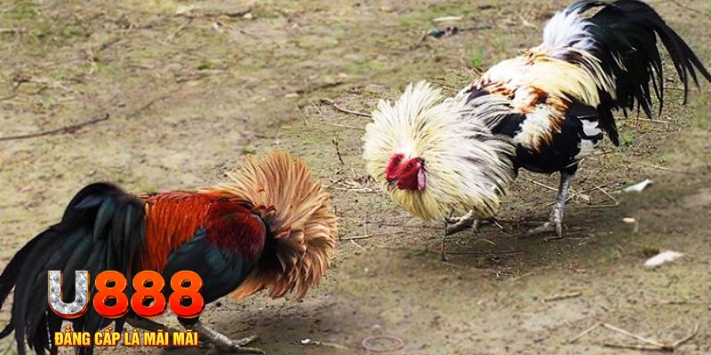 789win111 game nổ hũ là gì