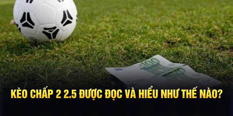 789win111 đá gà thomo